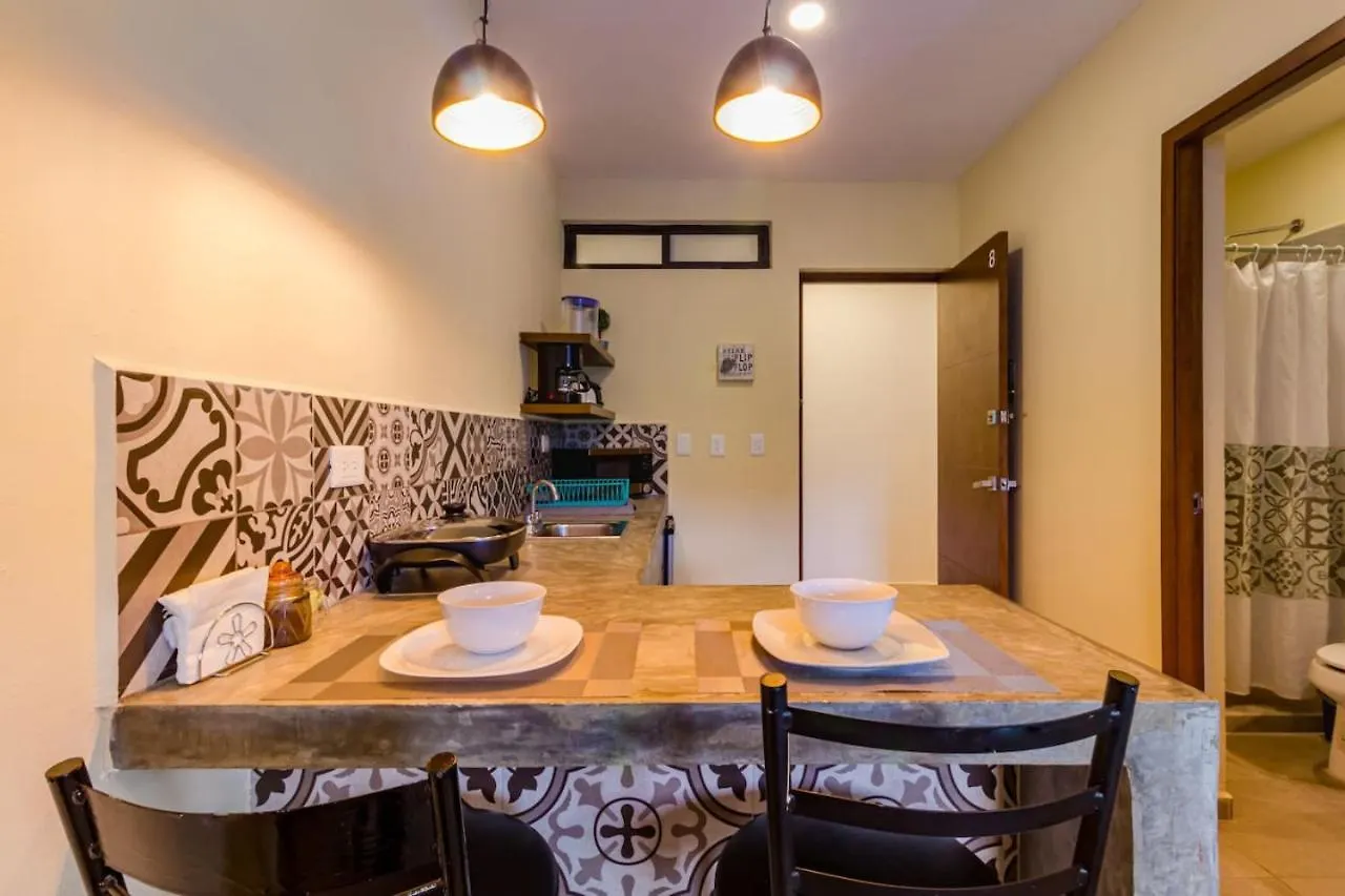Studio Close To The Beach Adults Only 칸쿤 0*,  멕시코